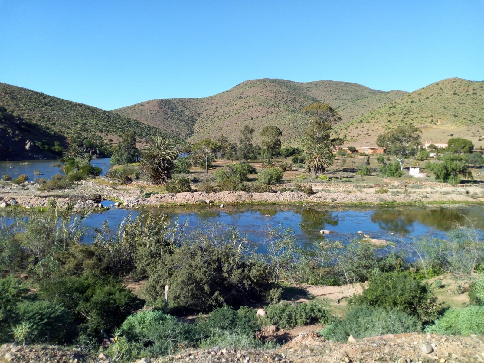 Auberge Azul Ifni 66