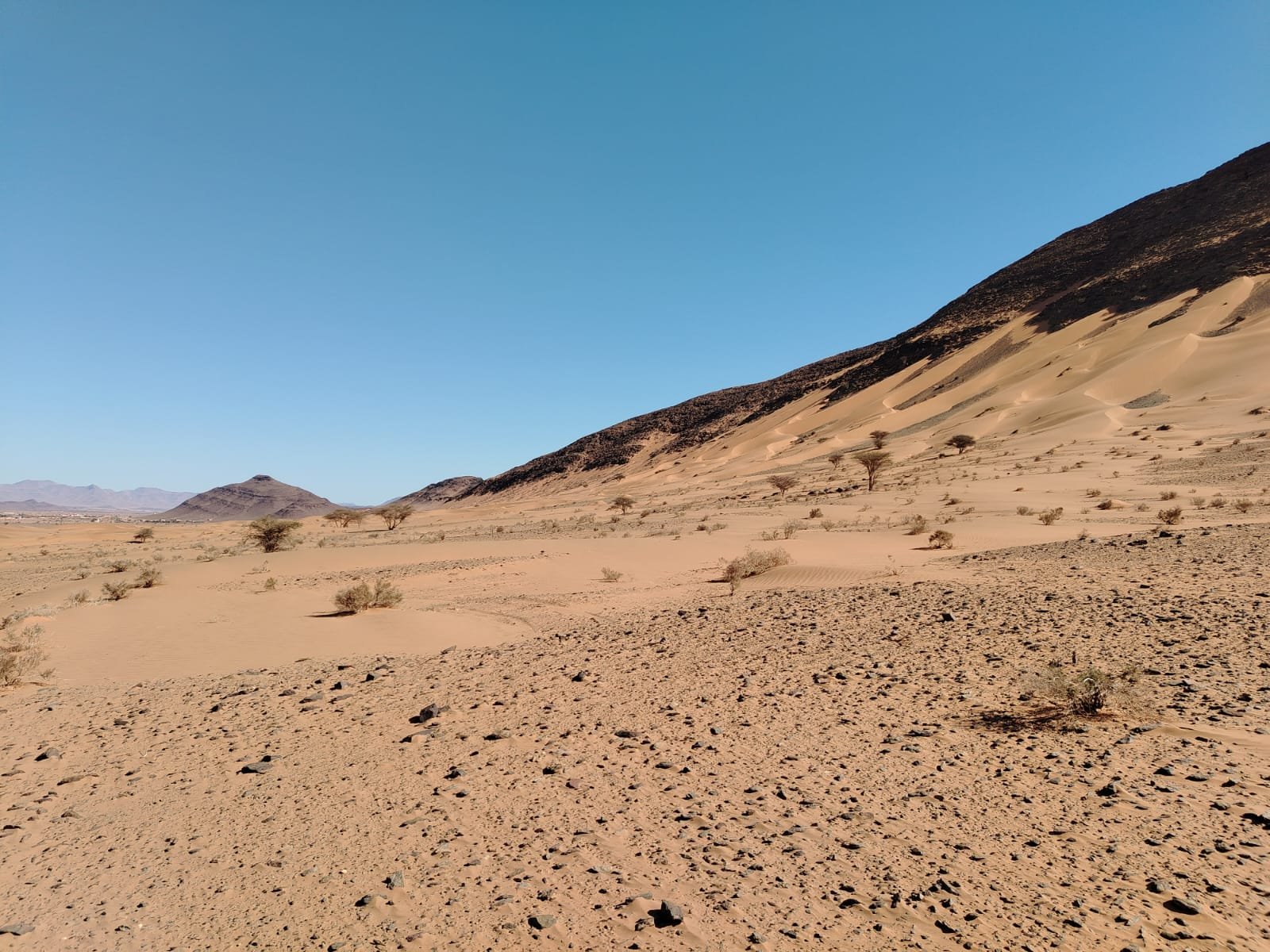 Auberge Azul Ifni 52