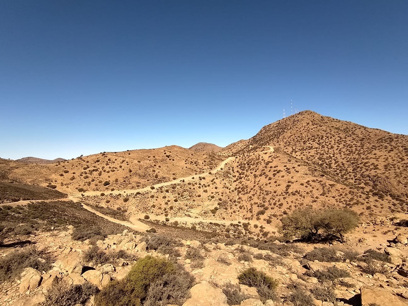 Hiking & coastal walk